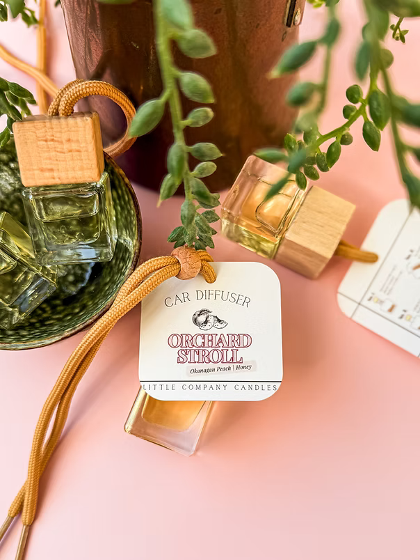 Little Company - Car Diffusers