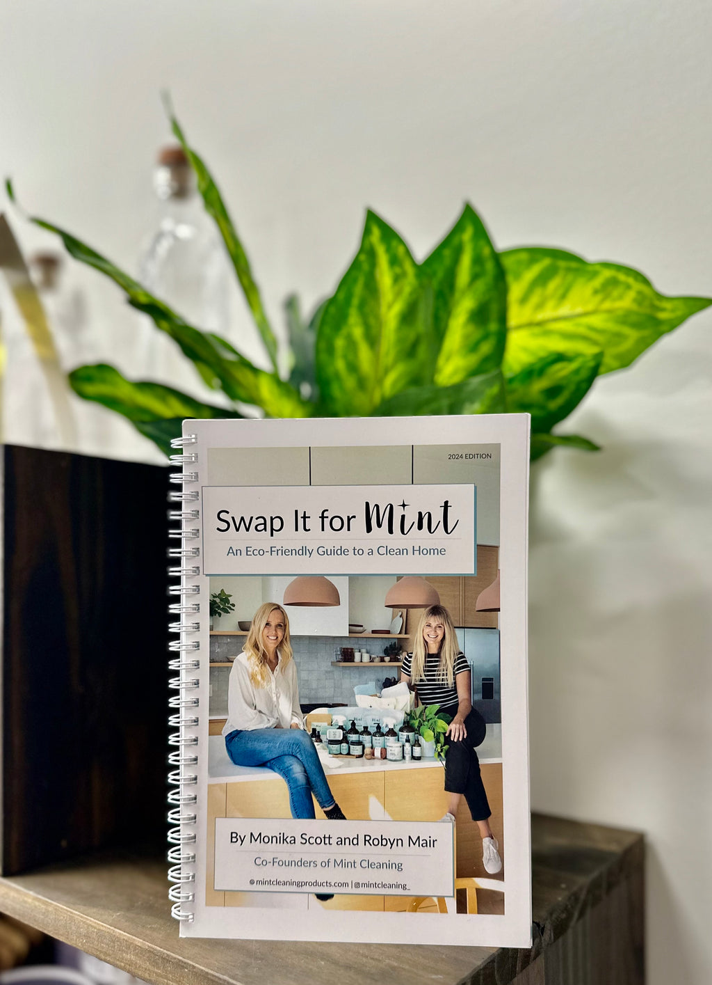 Mint Cleaning Book- Swap It For Mint "An Eco-Friendly Guide to a Clean Home"