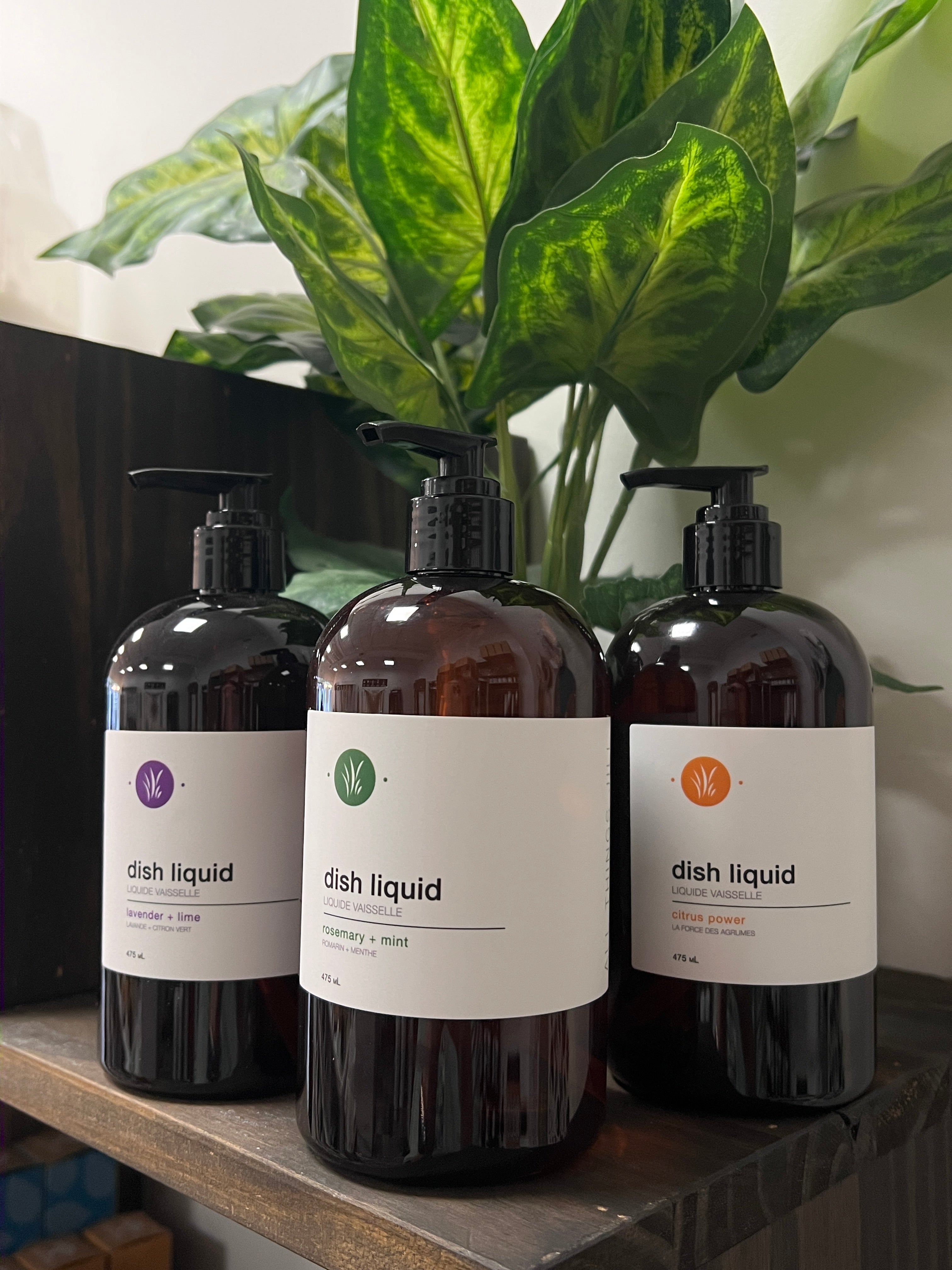 All Things Jill- Dish Soap