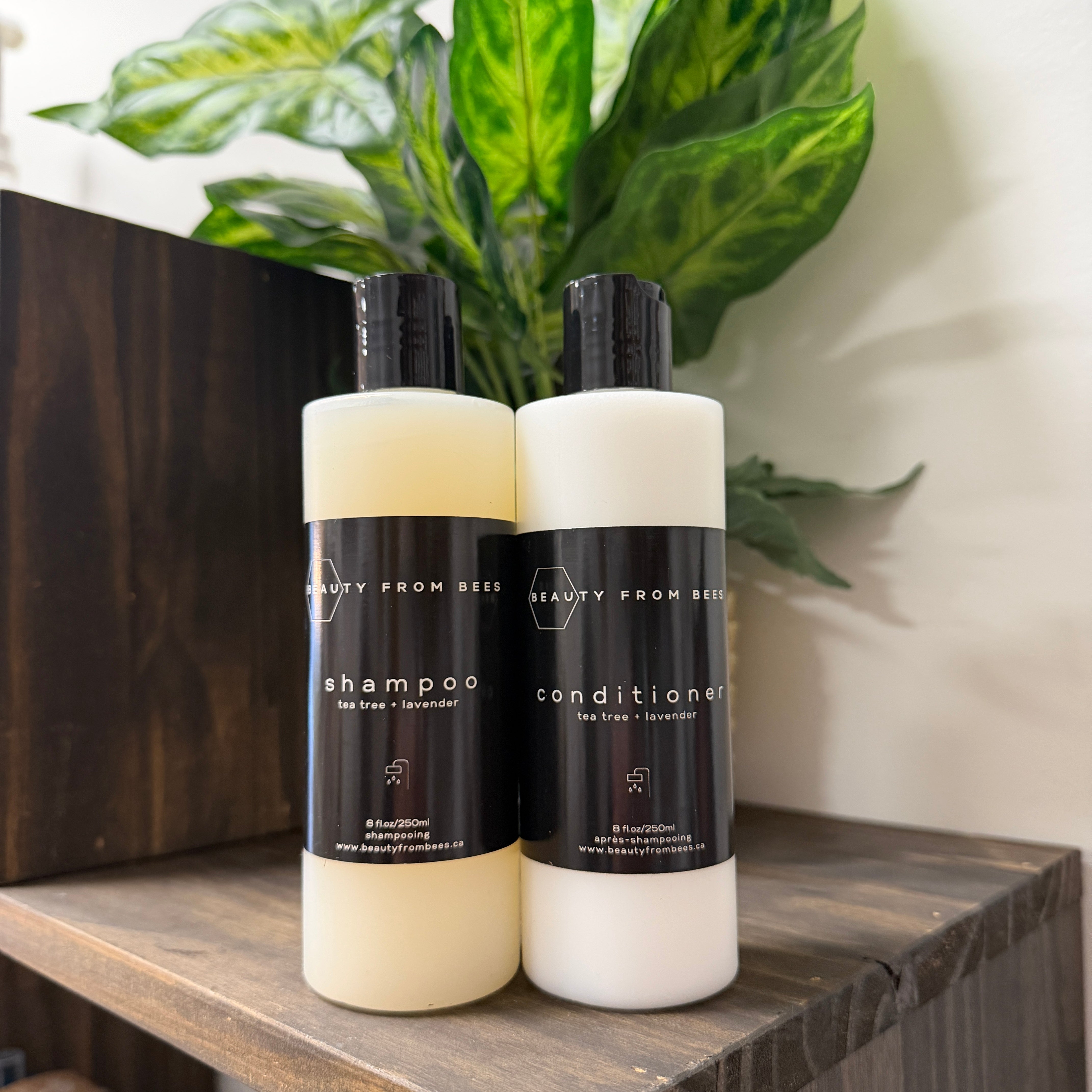 Beauty From Bees- Shampoo and Conditioner – Fill Vernon