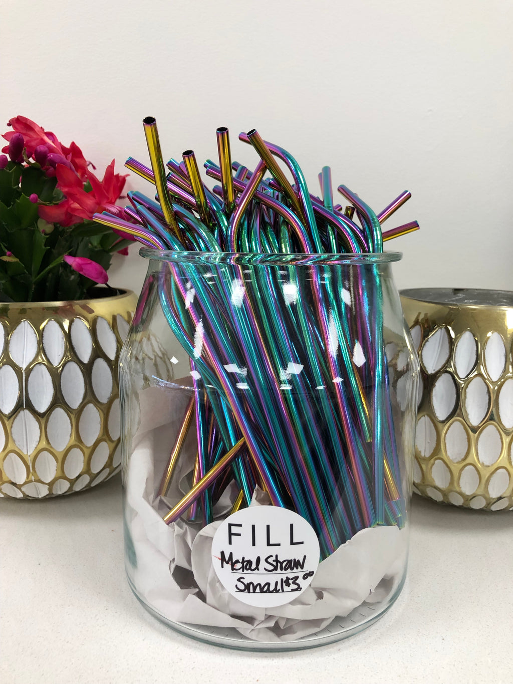 Life Without Waste- Metal Straw Medium Width