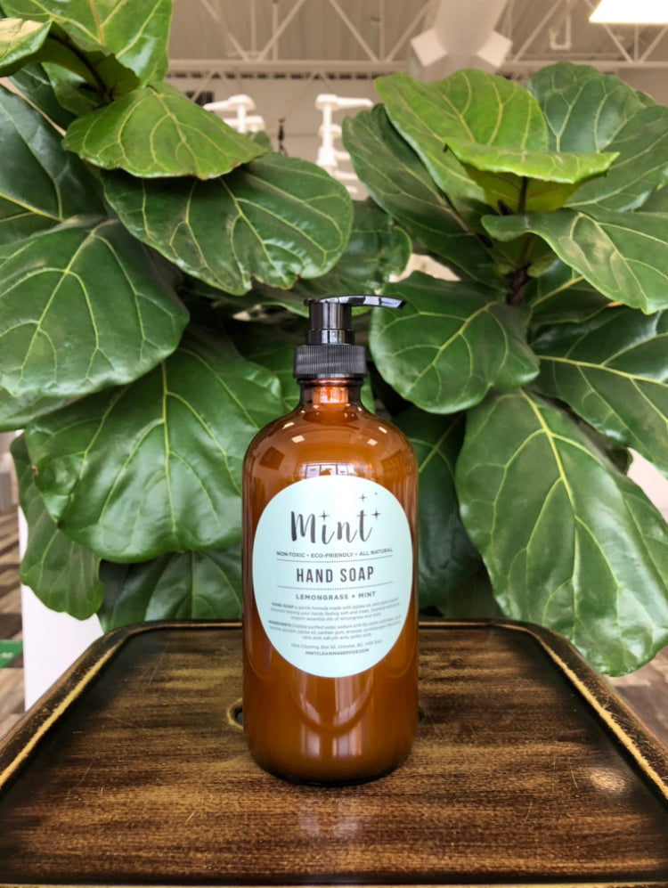 Mint Cleaning- Hand Soap