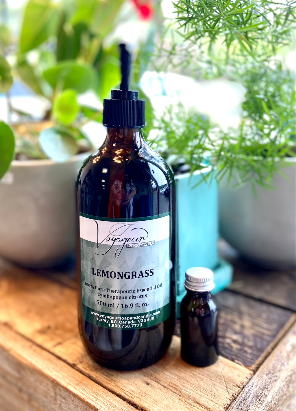 Voyaguer- Lemongrass Essential Oil 16 ml Glass Bottle