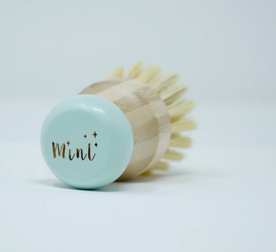 Mint Cleaning Bamboo Dish Brush